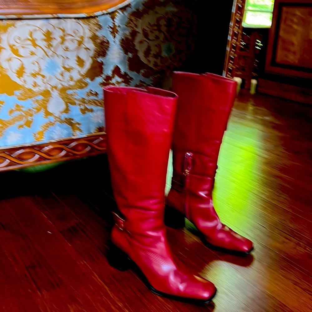 Italian stylish dress boots, in excellent condition, worn twice.